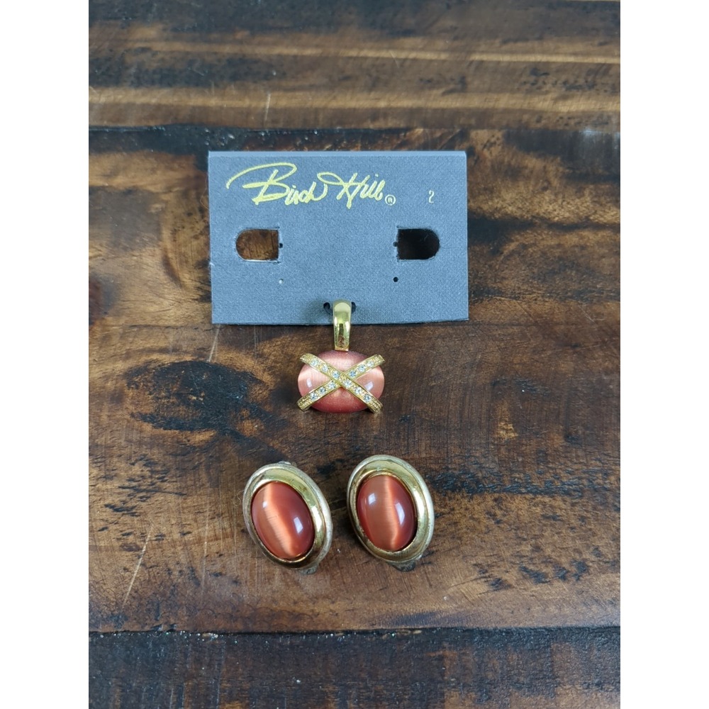 Birch Hill Jewelry Necklace Pendant &‎ Matching Clip on Earrings Coral Agate
